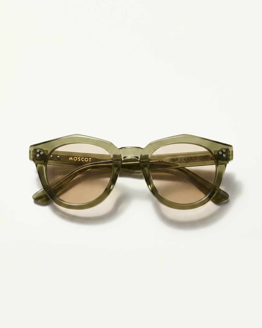 Oyster - Olive