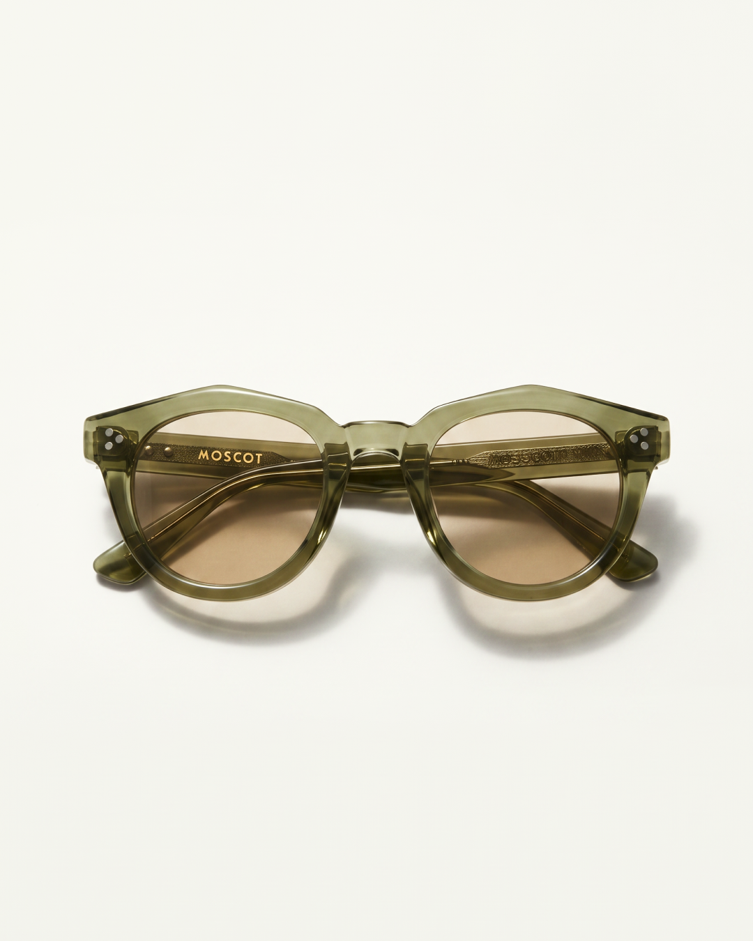 Oyster - Olive